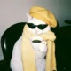 tea-leafdrifter avatar