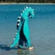 simbainlimbo97 avatar
